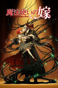 Наречена чарівниця (2017)