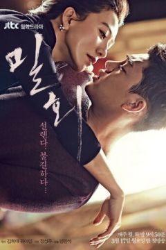 Таємний роман (2014)