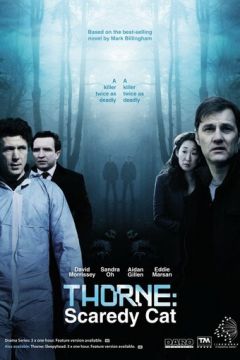 Торн: Лякана ворона (2010)