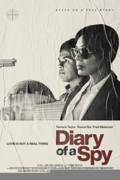 Щоденник шпигунки (2022)