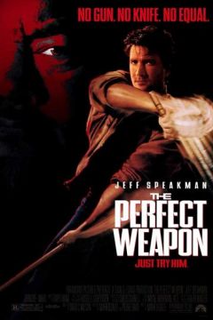 Досконала зброя (1991)