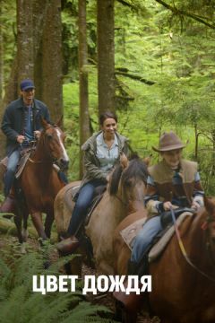 Колір дощу (2014)