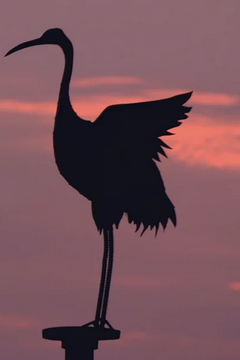 Мистецтво Китаю (2014)