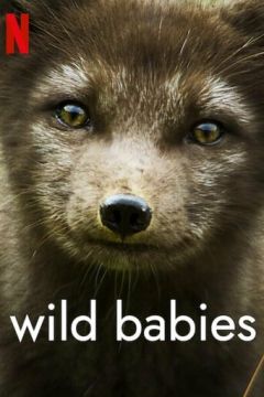 Дикі звірята (2022)