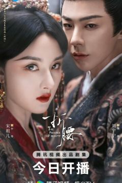 В'язень краси (2025)