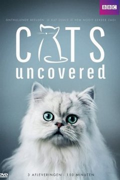 Коти без прикриття (2014)