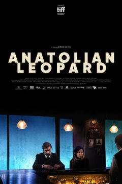 Анатолійський леопард (2021)